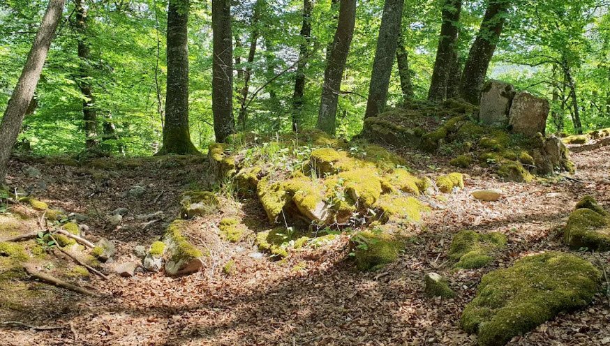 Gutenburg (Hochrhein), Germany